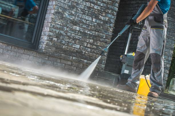Best Patio and Deck Pressure Washing  in South Rockwood, MI