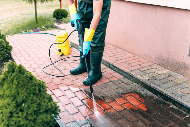 Best Animal Enclosure Cleaning  in South Rockwood, MI
